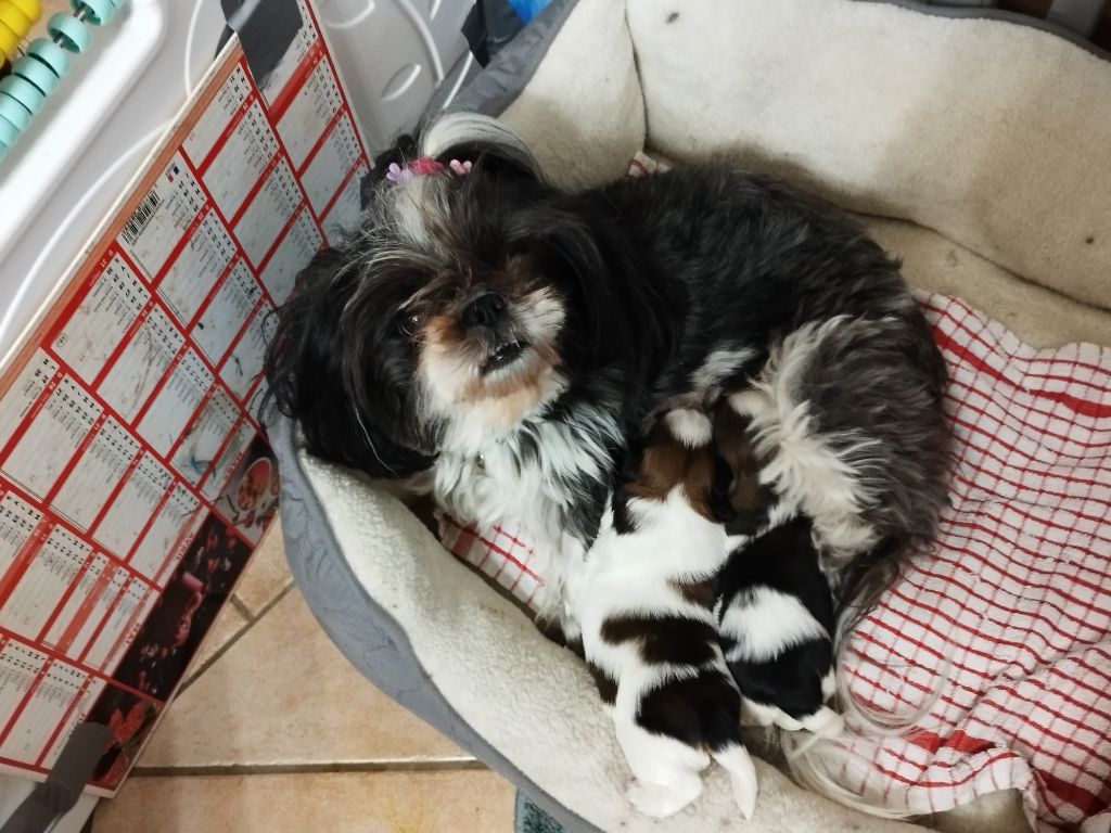 Les petites perles sont nées